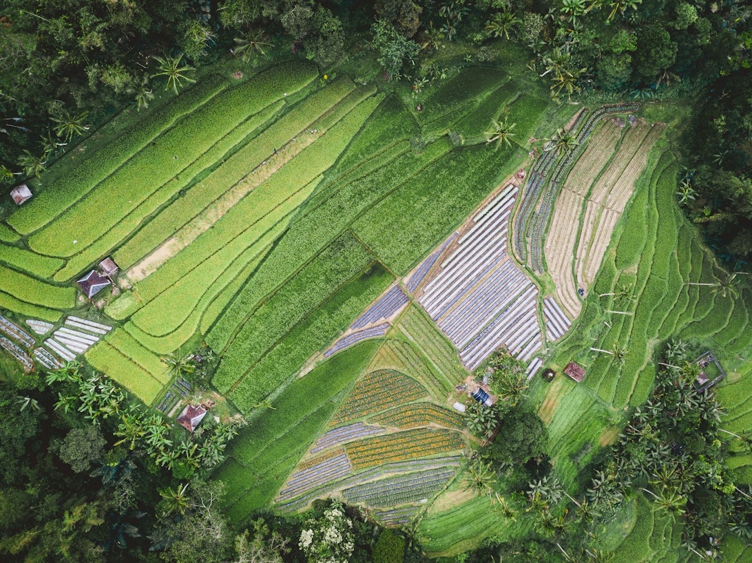 L’agriculture régénérative en Lorraine : solutions pour le climat