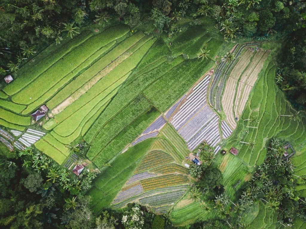 L&rsquo;agriculture régénérative en Lorraine : solutions pour le climat