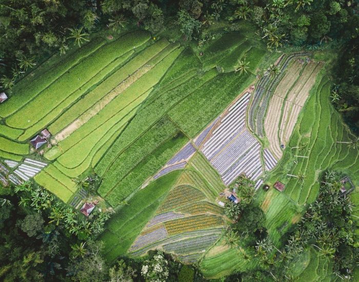 L&rsquo;agriculture régénérative en Lorraine : solutions pour le climat